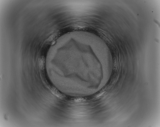 X0000095550468200801111458