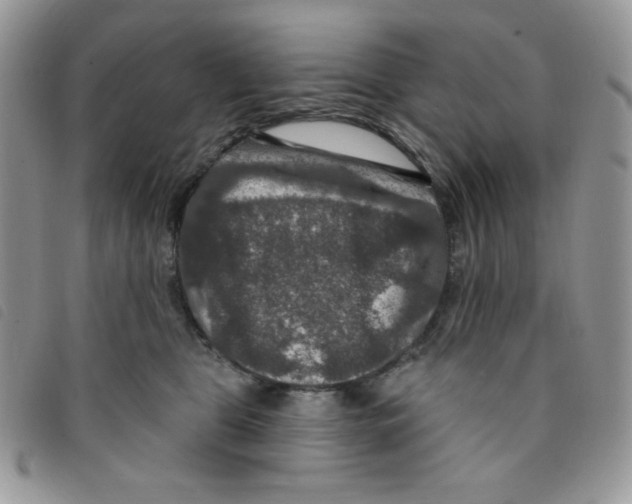 X0000095550469200801111458