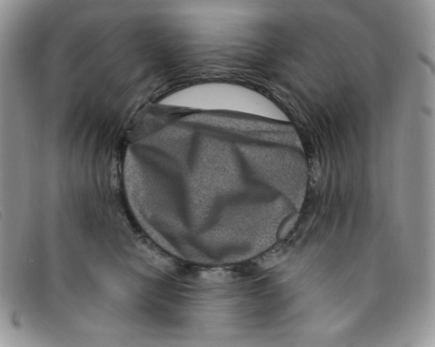 X0000095550470200801111458