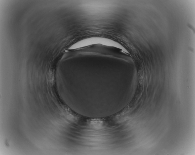 X0000095550471200801111458