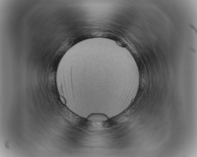 X0000095550473200801111458