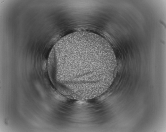 X0000095550477200801111458