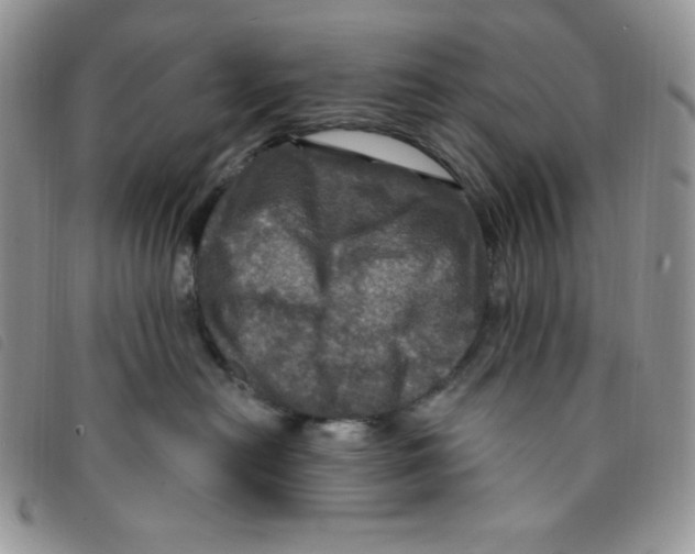 X0000095550478200801111458