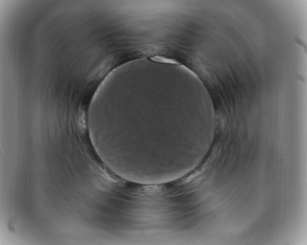 X0000095550479200801111458