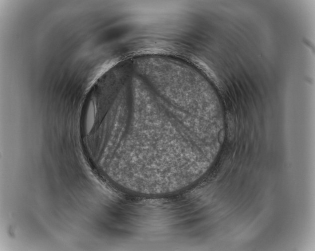 X0000095550482200801111457