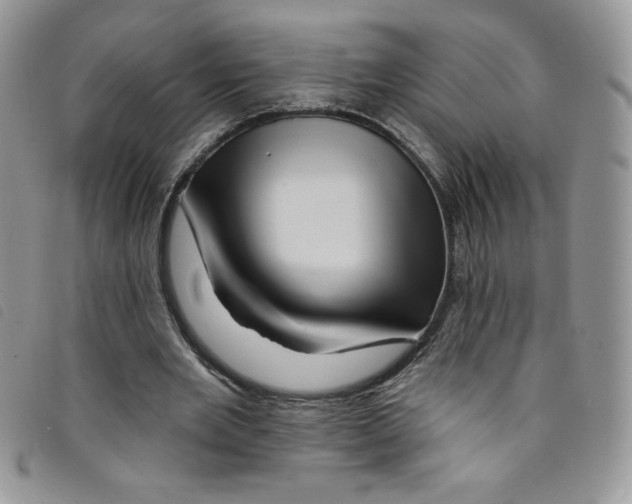 X0000095550485200801111457