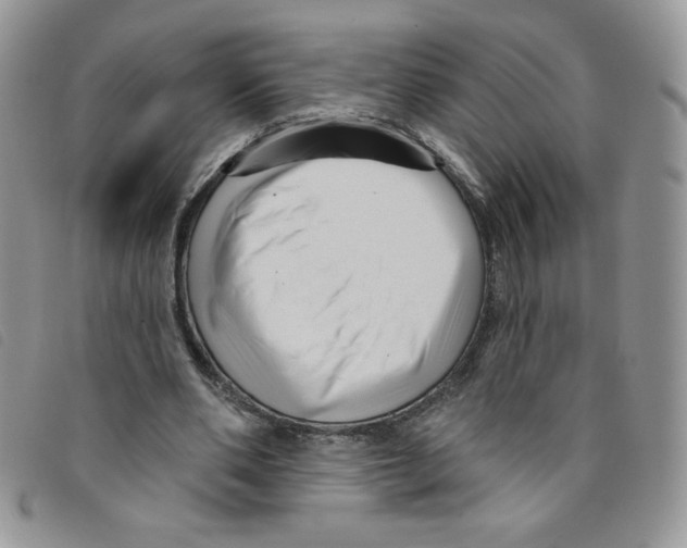 X0000095550486200801111457