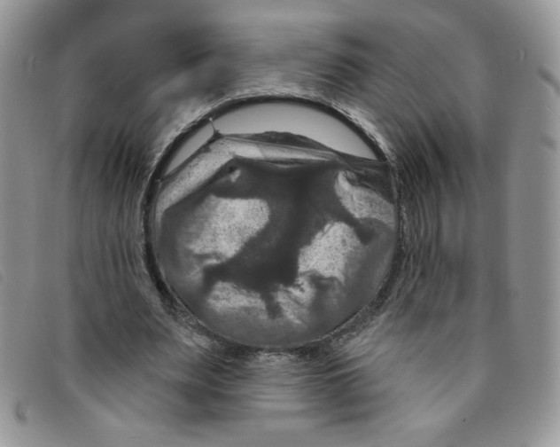 X0000095550487200801111457