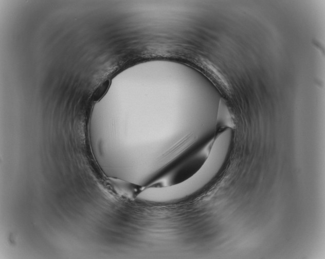 X0000095550489200801111457