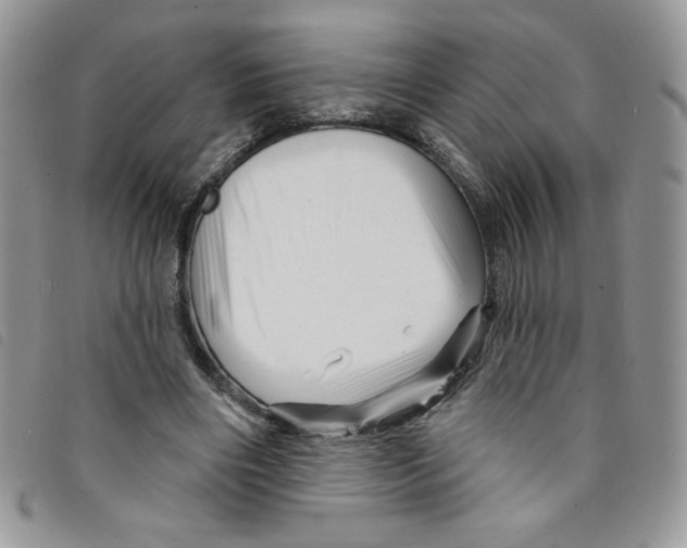 X0000095550490200801111457