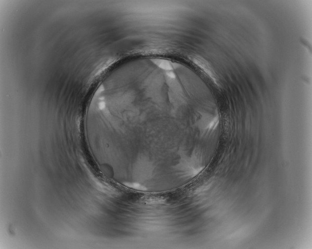 X0000095550491200801111457