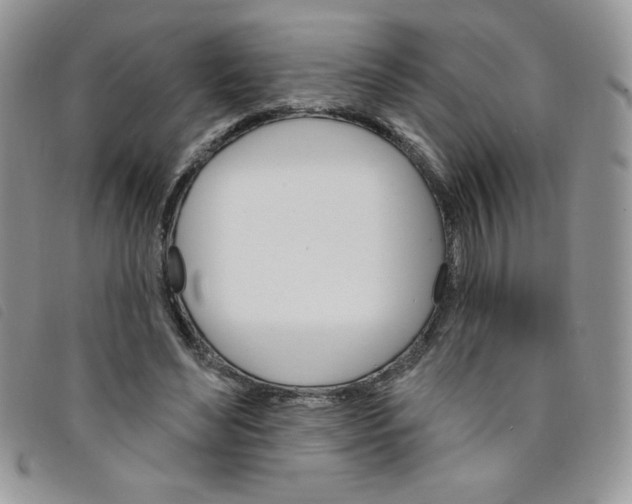 X0000095550492200801111457