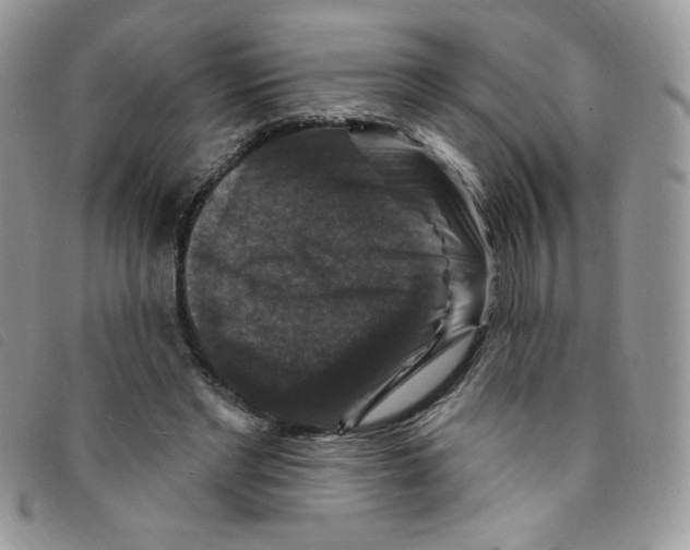 X0000095550493200801111457