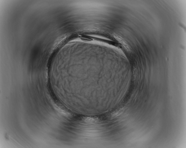 X0000095550494200801111457