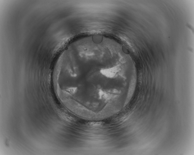 X0000095550495200801111457