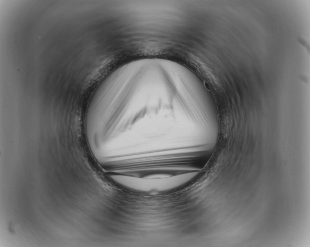 X0000095550497200801111457