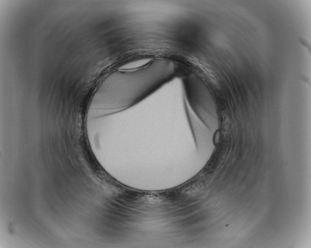 X0000095550498200801111457