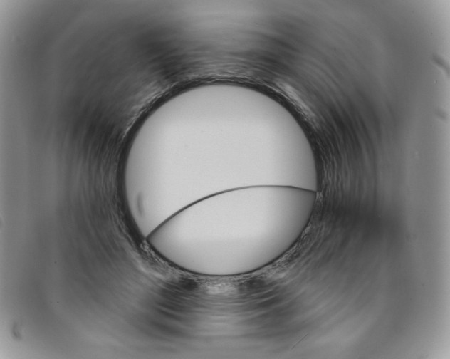 X0000095550500200801111457