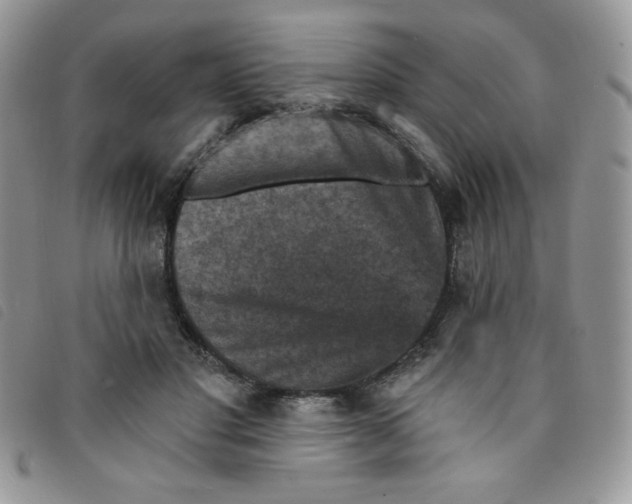 X0000095550501200801111457