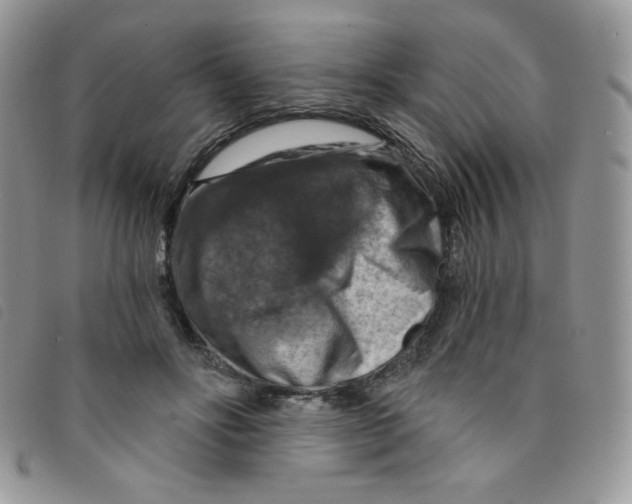 X0000095550502200801111457