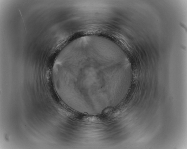 X0000095550503200801111457