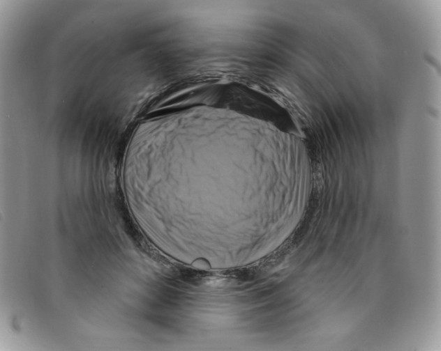 X0000095550504200801111457