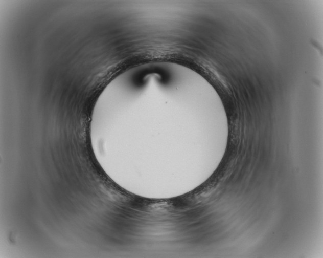 X0000095550505200801111457