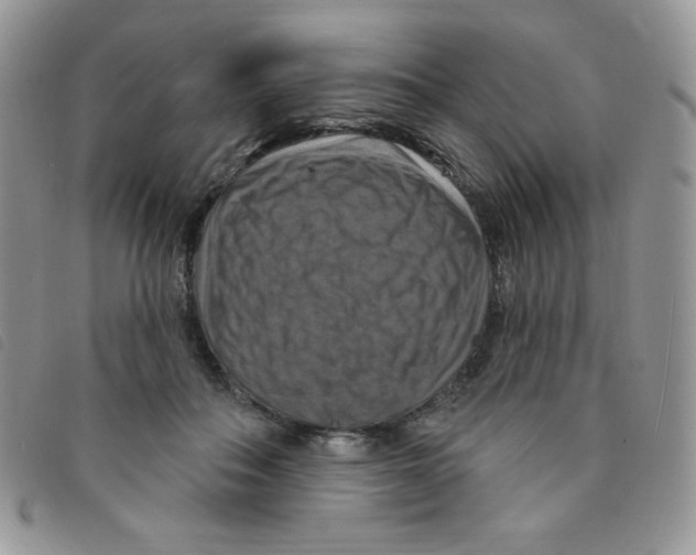 X0000095550506200801111457