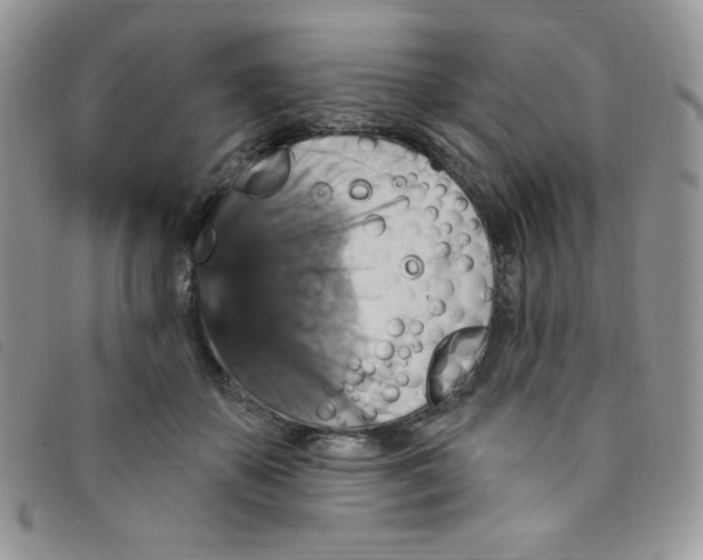 X0000095550507200801111457