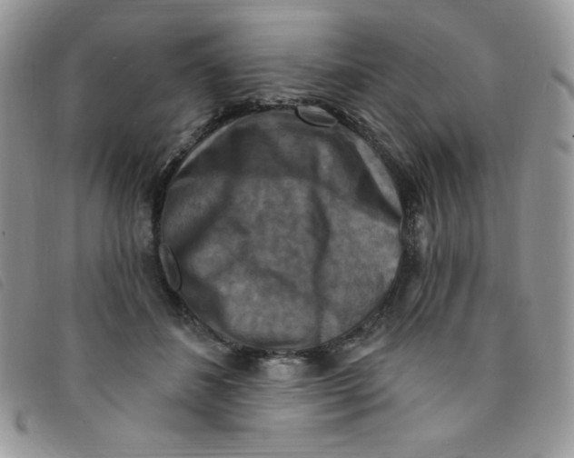 X0000095550508200801111457