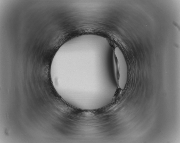 X0000095550509200801111457