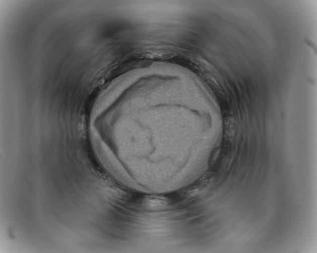 X0000095550510200801111457