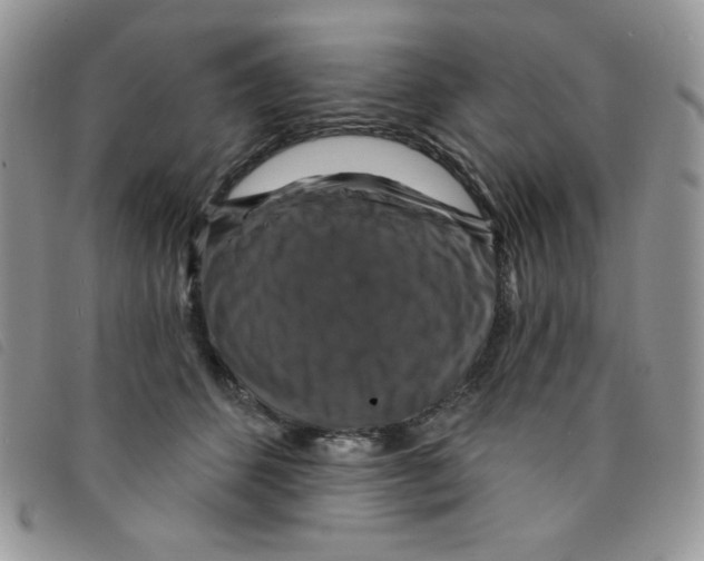 X0000095550512200801111457