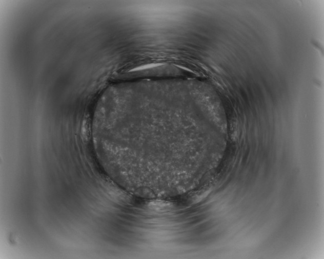 X0000095550515200801111457