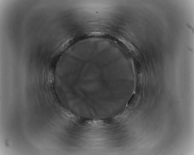 X0000095550517200801111457