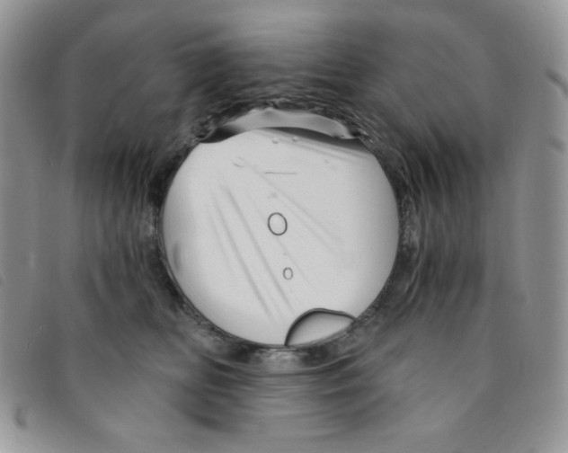 X0000095550518200801111457