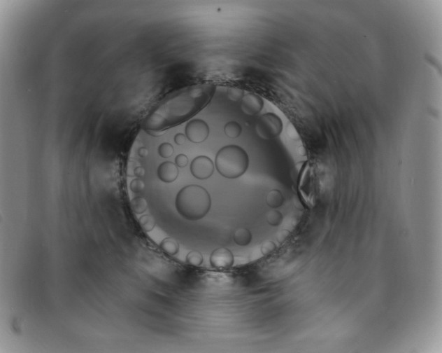 X0000095550519200801111456