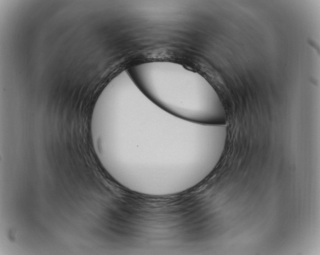 X0000095550521200801111456