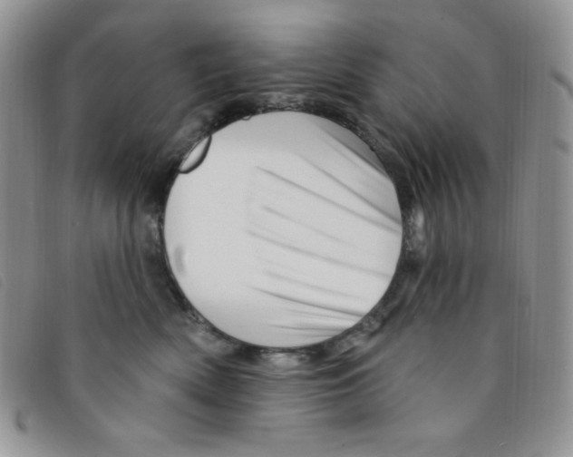 X0000095550522200801111456