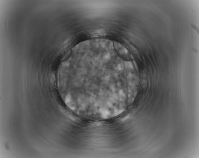 X0000095550523200801111456