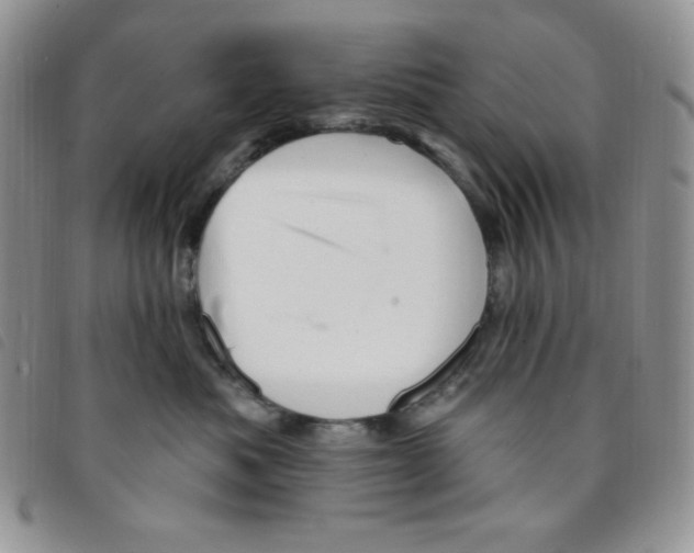 X0000095550525200801111456