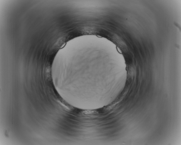 X0000095550526200801111456