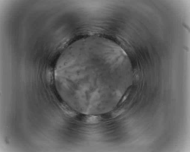 X0000095550527200801111456