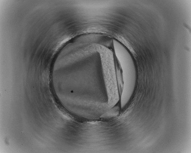 X0000095550530200801111456