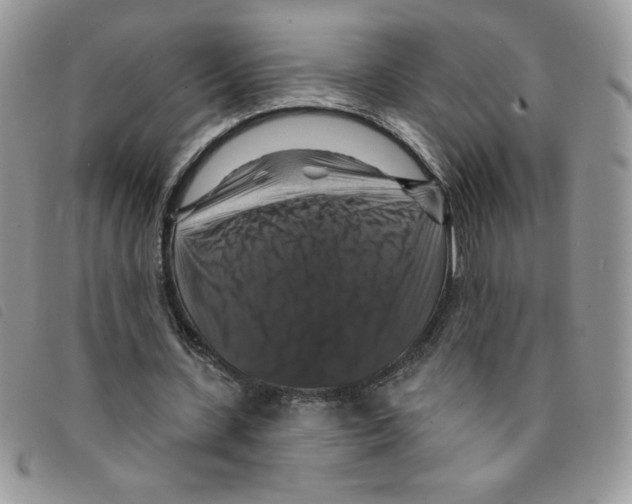 X0000095550531200801111456