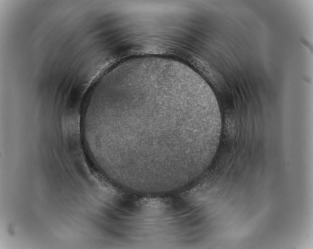 X0000095550534200801111456