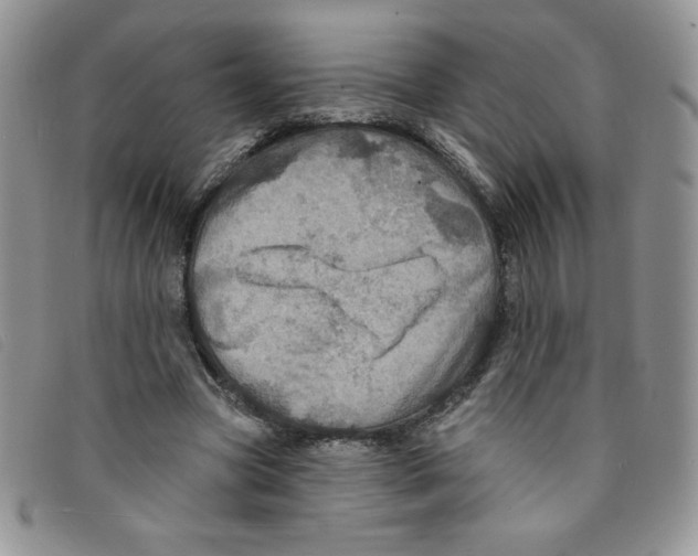 X0000095550537200801111456