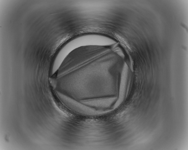 X0000095550538200801111456