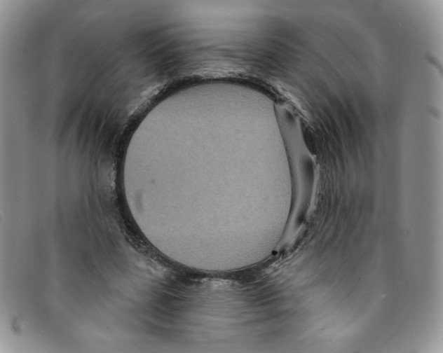 X0000095550539200801111456