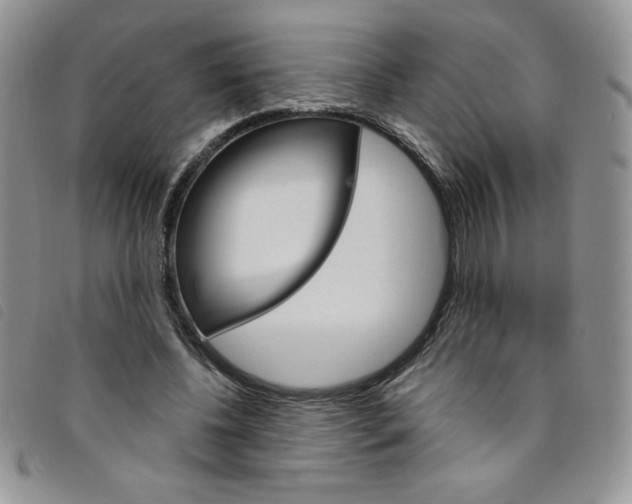 X0000095550540200801111456